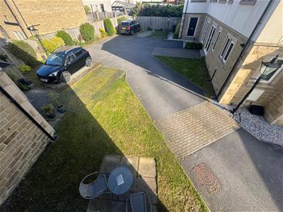 Picture 16